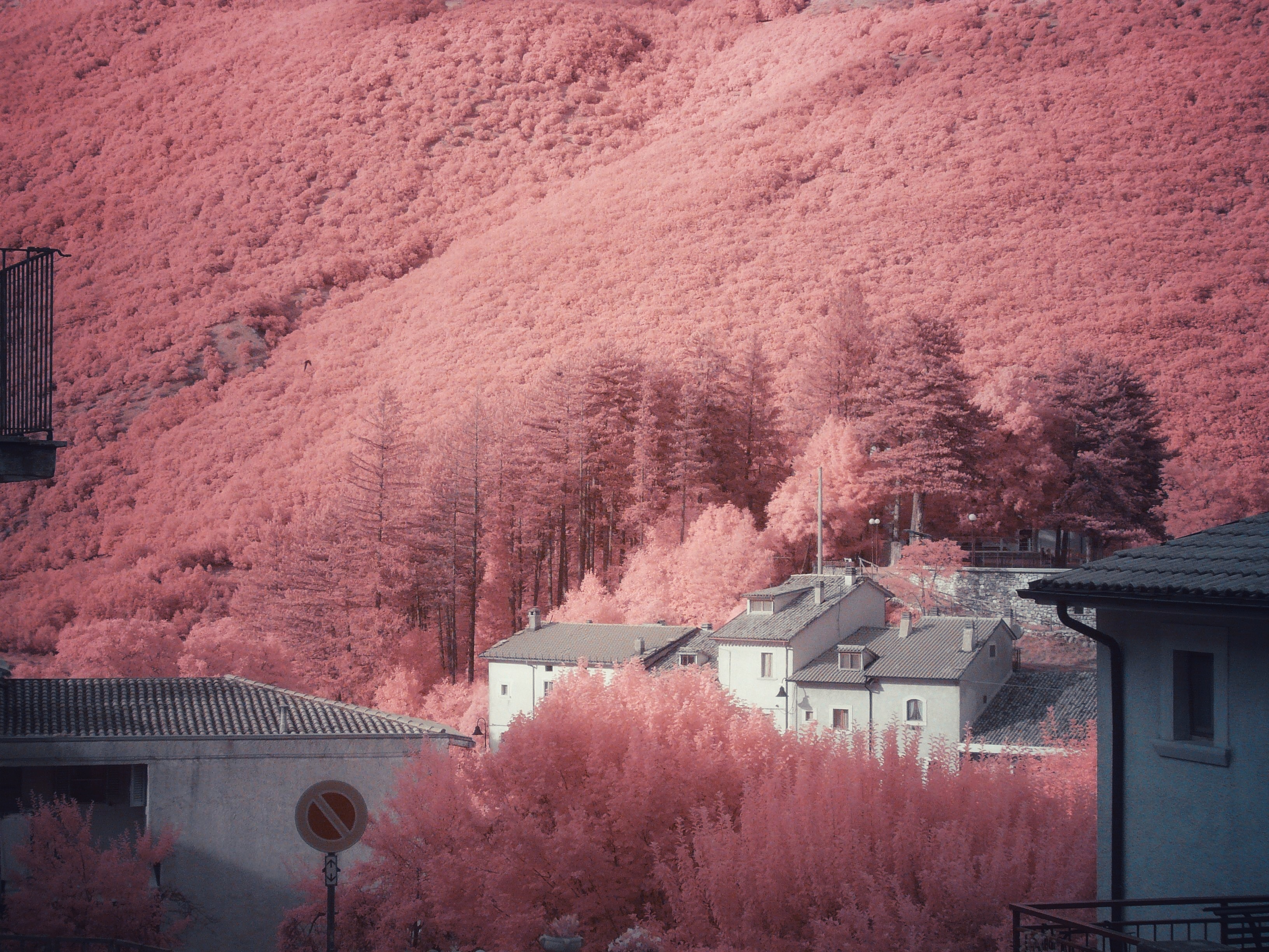 Image description