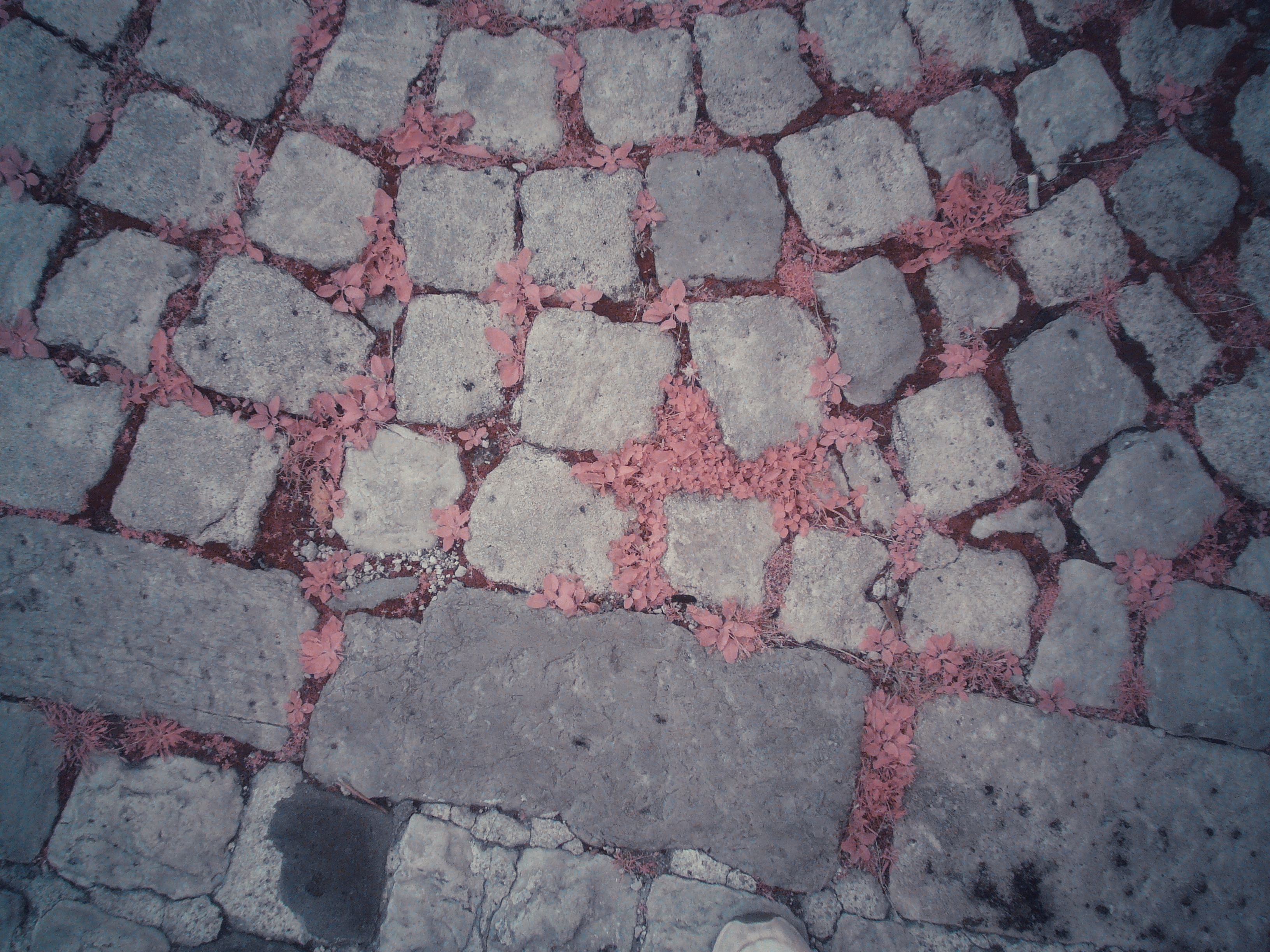 Image description