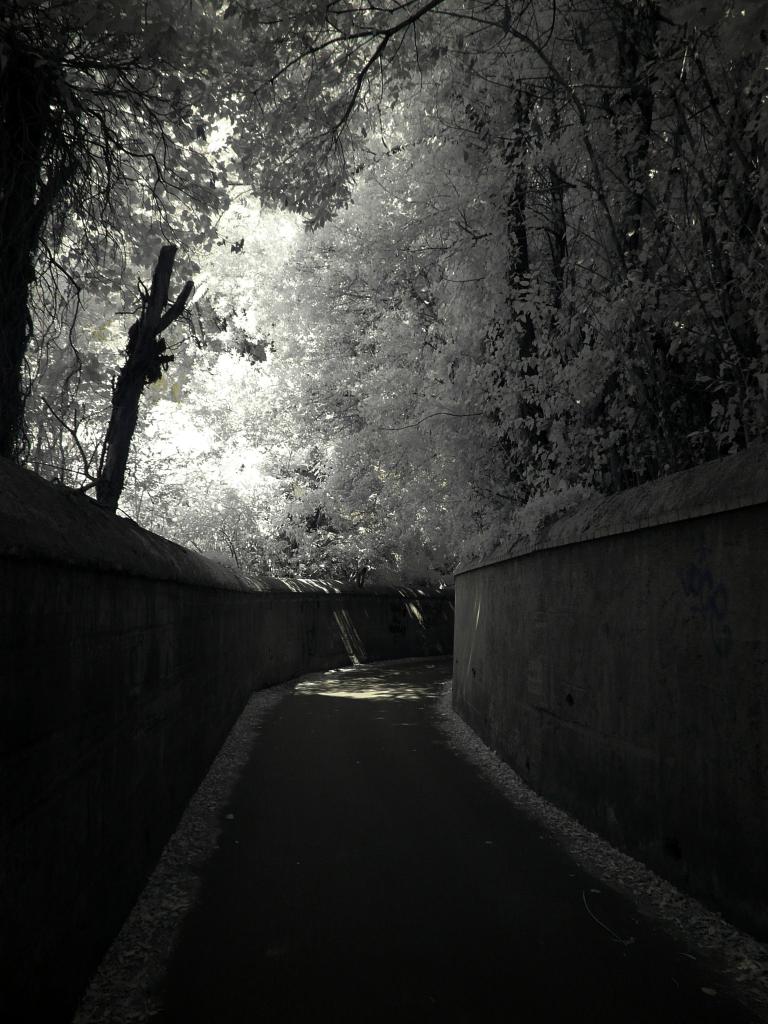 penumbra.jpg