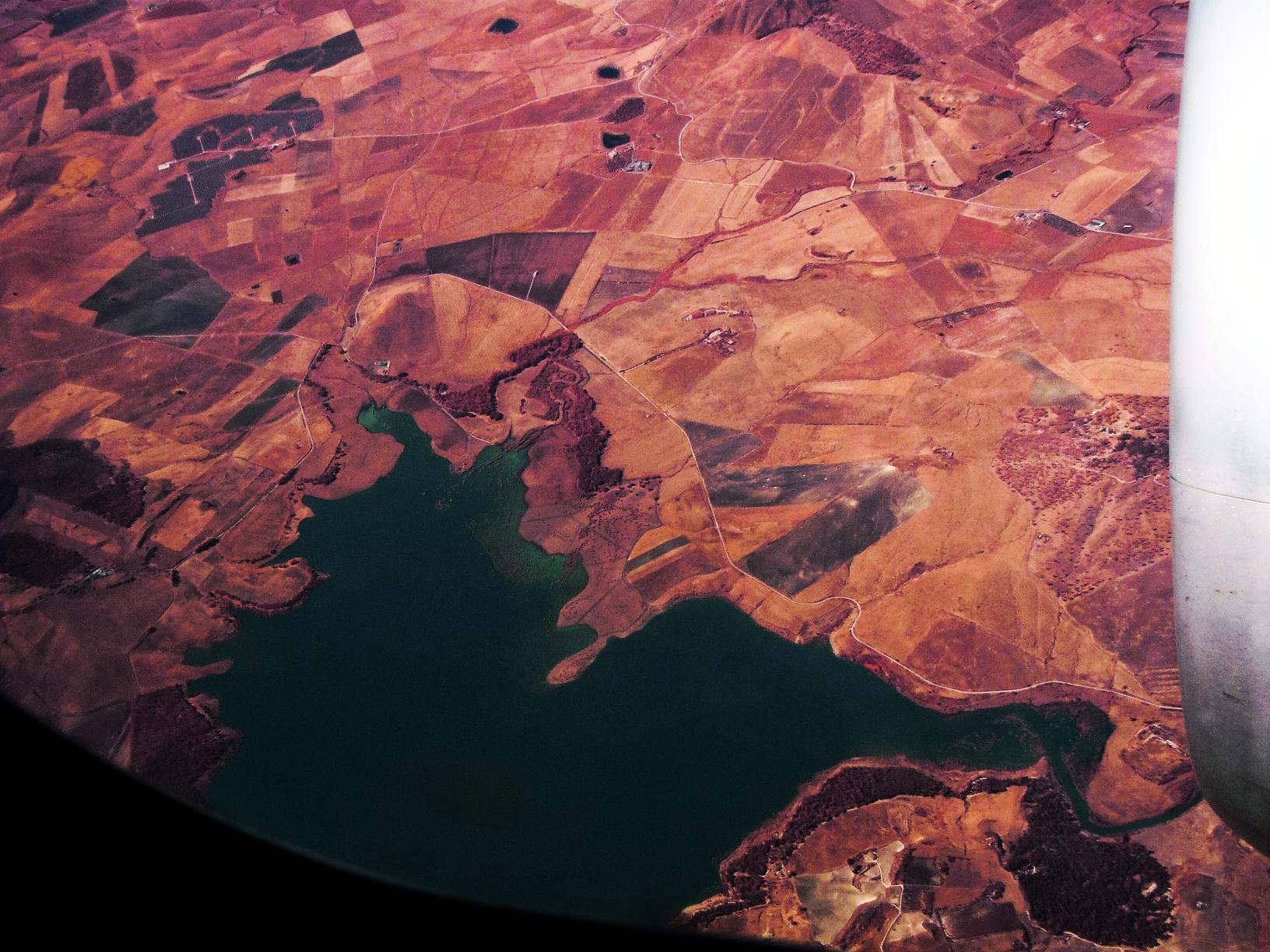birdview.jpg